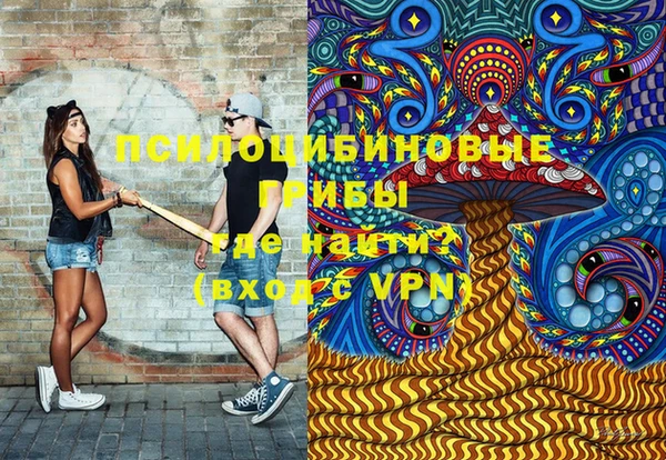 сатива Сатка